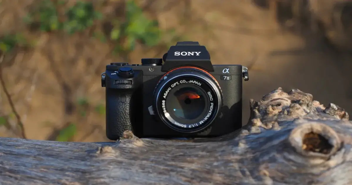 Sony camera batteries